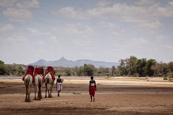 Samburu Camel Ride
