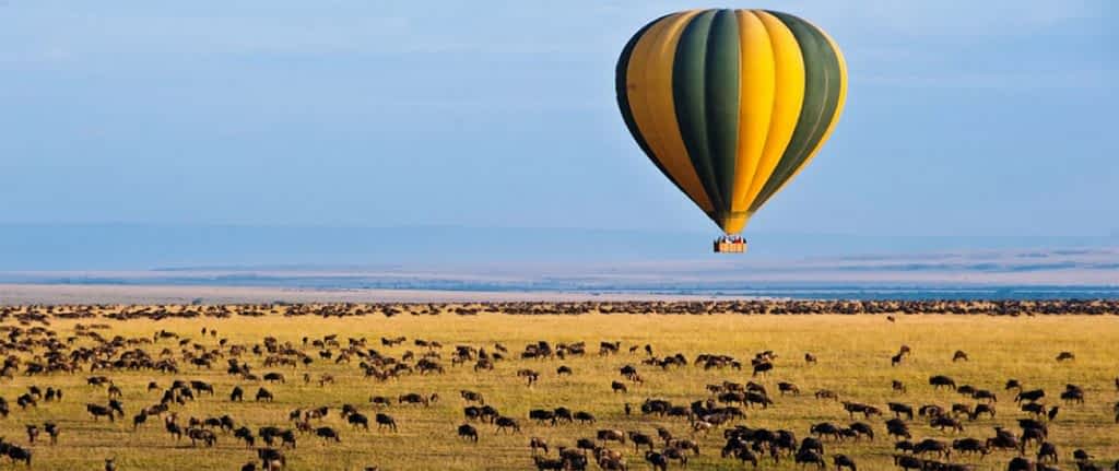 balloon-safari-1024x431-1 balloon-safari
