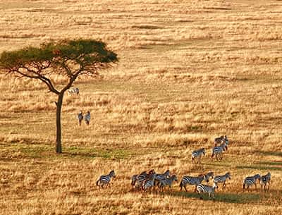 Ngorongoro Conservation Area Ngorongoro Conservation Area