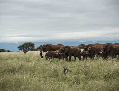 Ngorongoro Conservation Area Ngorongoro Conservation Area
