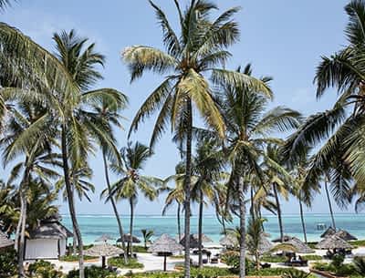 Zanzibar Spice Tour Zanzibar Spice Tour
