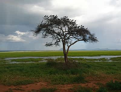 Ngorongoro Conservation Area Ngorongoro Conservation Area