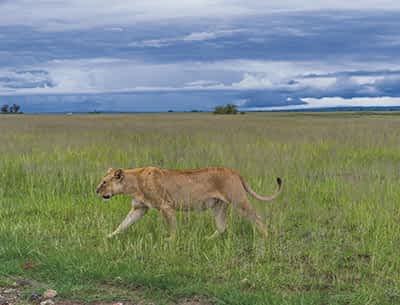 Amboseli National Park Amboseli National Park