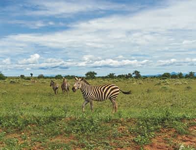 Amboseli National Park Amboseli National Park