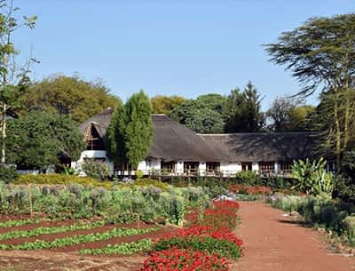 Ngorongoro Conservation Area Ngorongoro Conservation Area