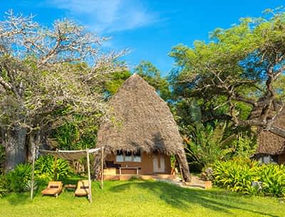 Kisite Mpunguti Day Tour Kisite Mpunguti Day Tour