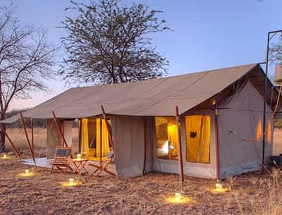 Serengeti National Park Serengeti National Park