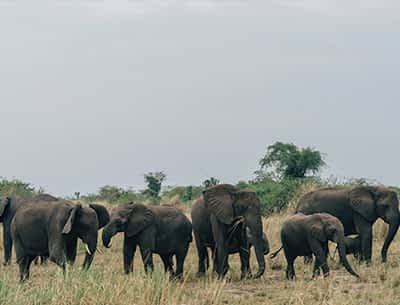 Lake Mburo National Park Lake Mburo National Park